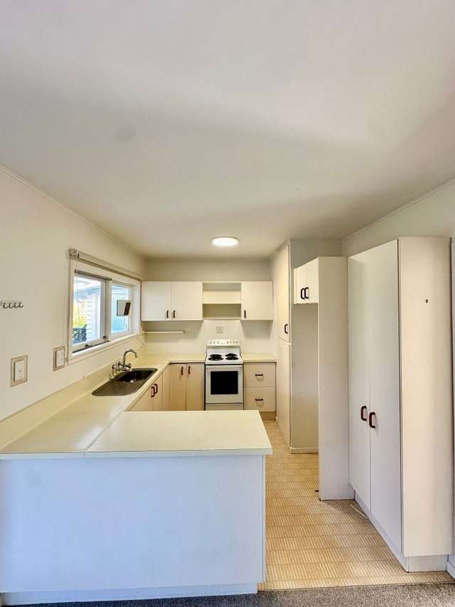 52 Subritzky Avenue Mount Roskill_4