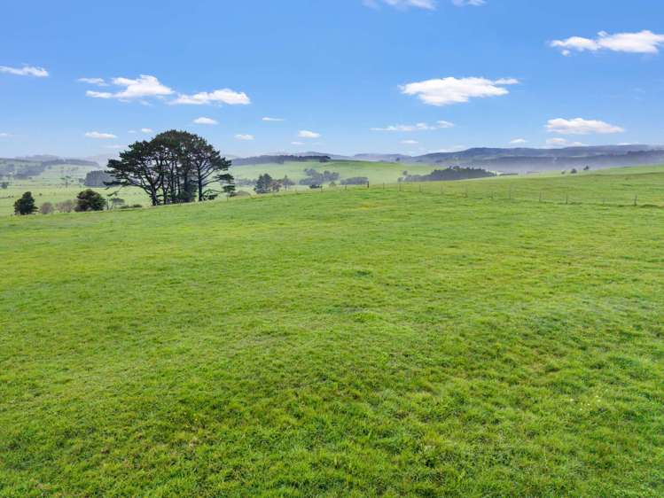 68 Aranga Coast Road Dargaville_7