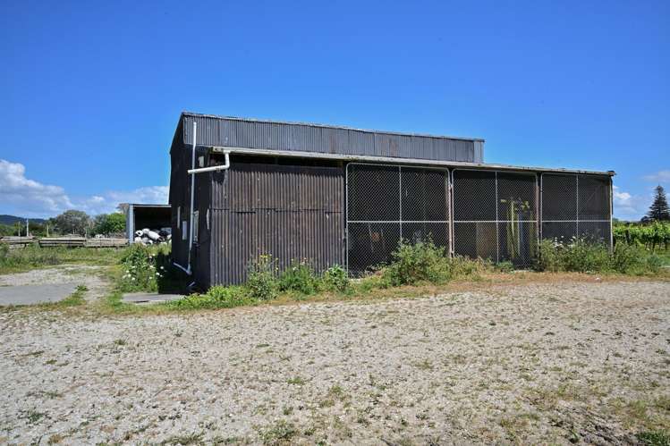 Whitmore Road Ormond_18