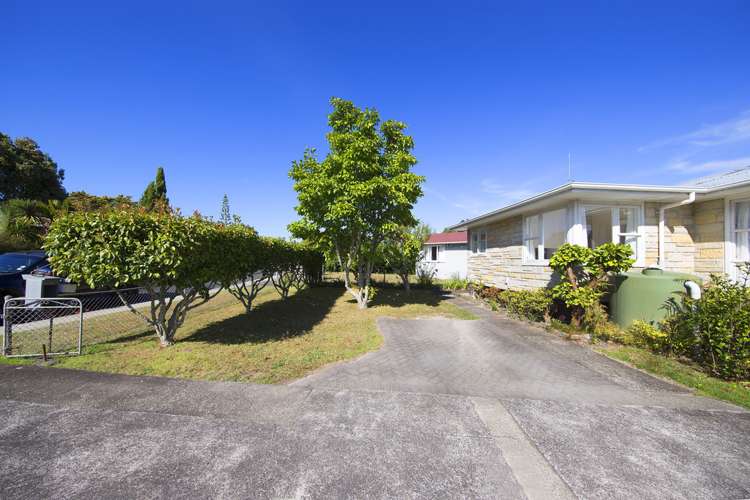 41 Nile Road Kelston_17