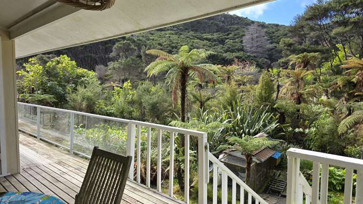 Lot 279 Smelting House Bay Kawau Island_10