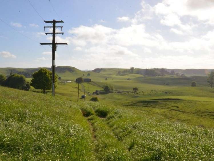 1035 Bayley Road Wharepuhunga_4