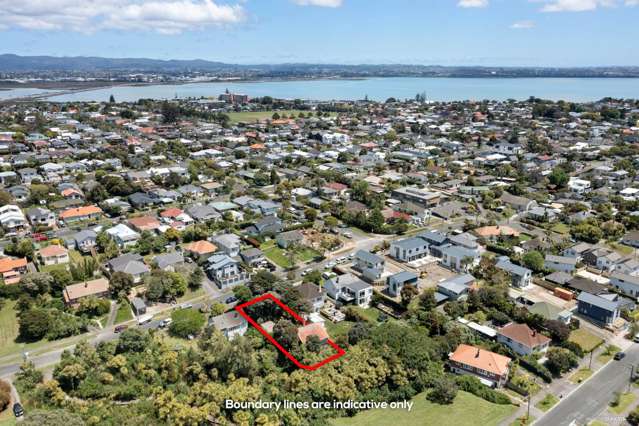 73 Walmer Road Point Chevalier_1