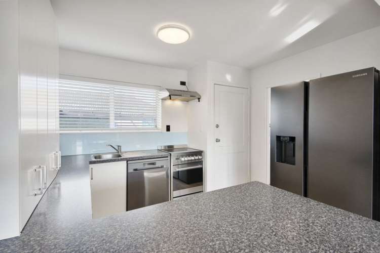 80 Lowry Avenue Redwood_4