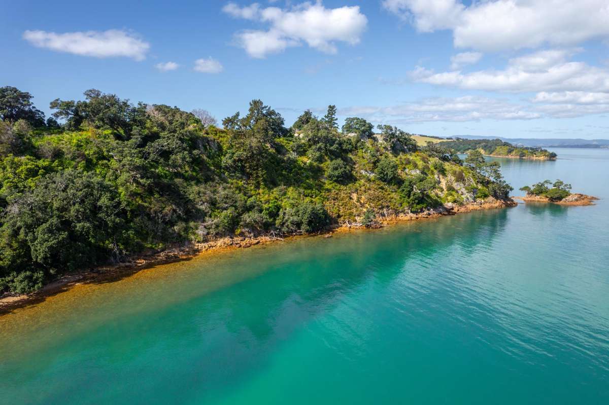12 Pohutukawa Avenue_1