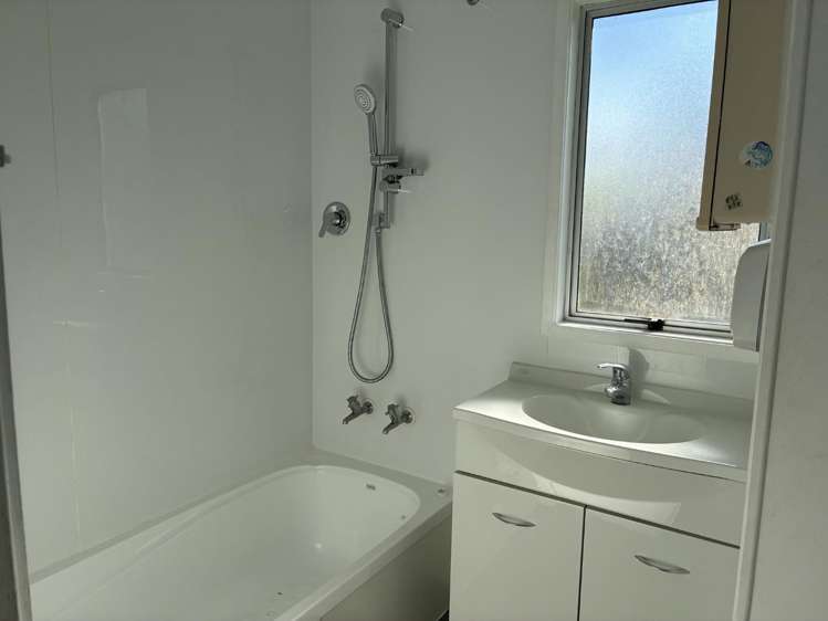 115 Finlayson Avenue Clendon Park_7