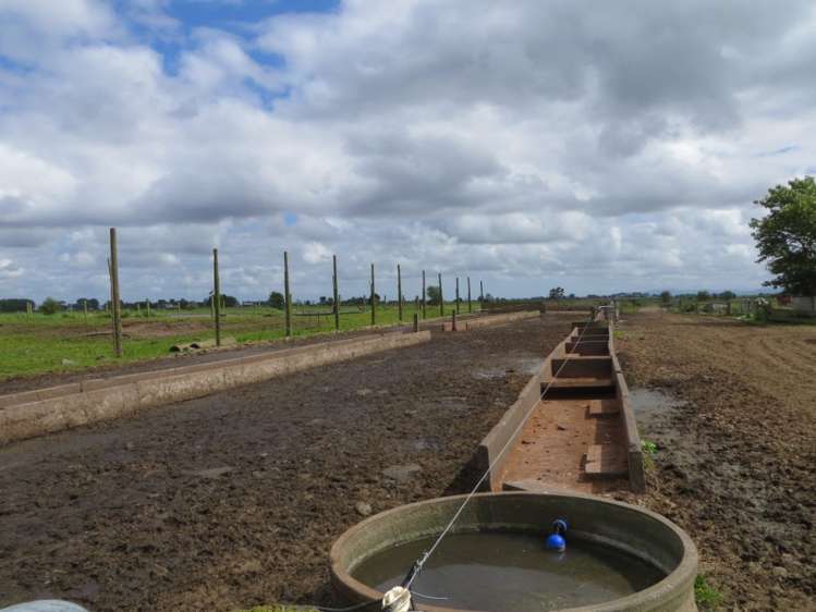 161 Endowment Road Te Aroha_9