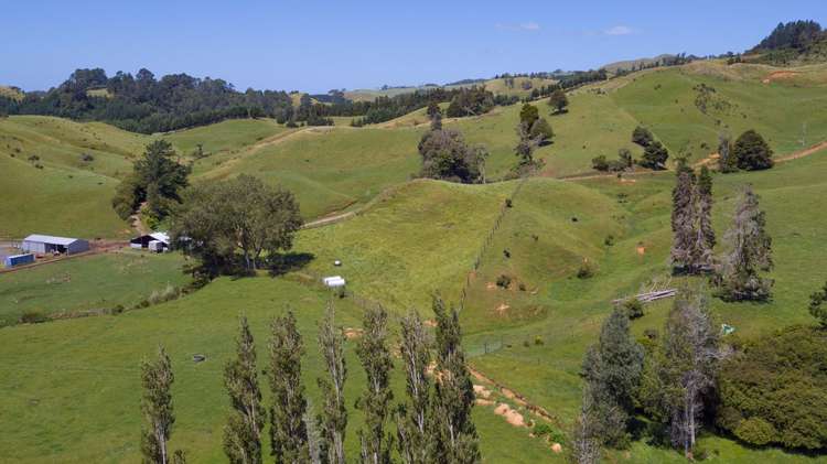 75 Spence Road Waihi_6