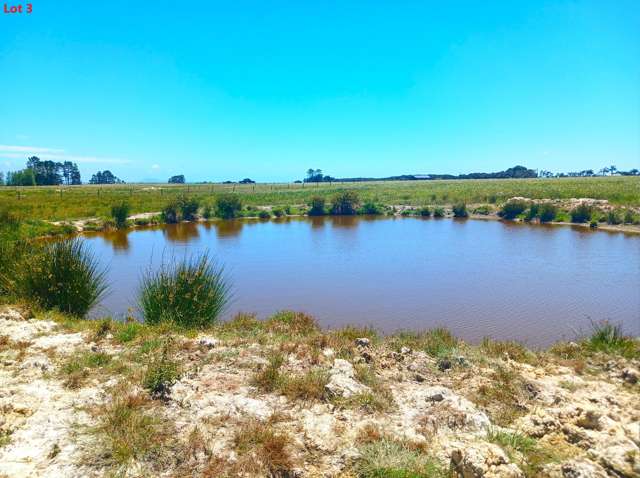 Lot 3 Pairatahi Road Kaingaroa_4
