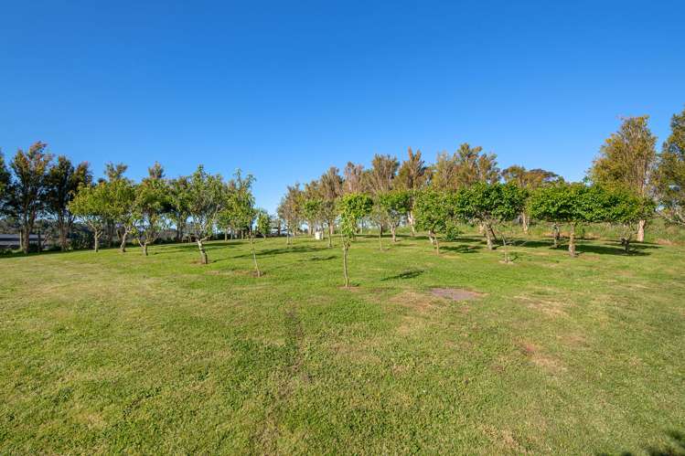 69a Pipitiwai Drive Helensville_28