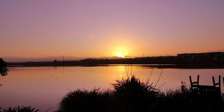 189 Princes Street East Otahuhu_15