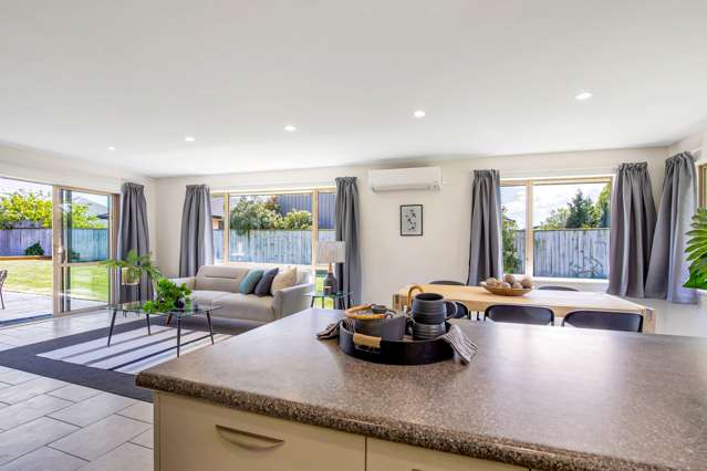 1087 Goulds Road Rolleston_2