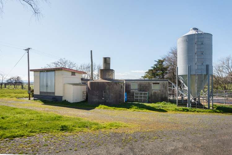 97 Herbert Road Morrinsville_22