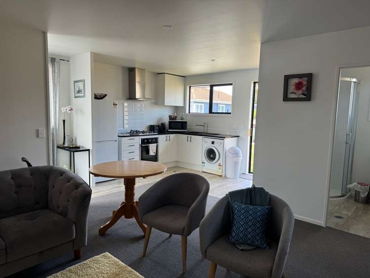 87 Fifth Avenue Enderley_2