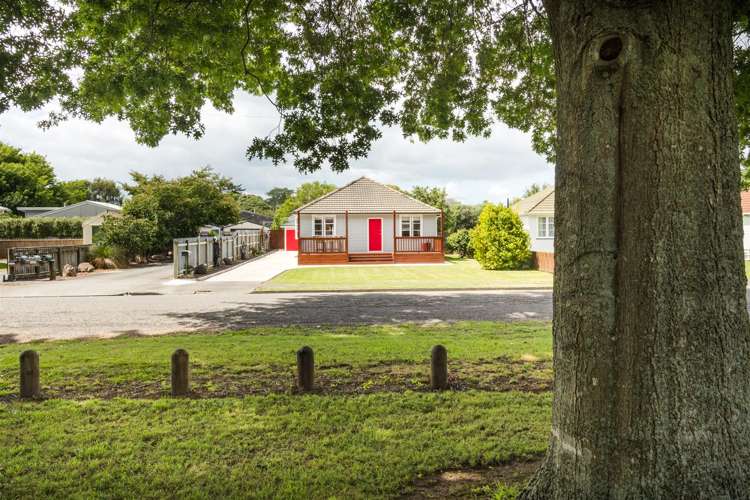 9 Bull Street Bulls_26