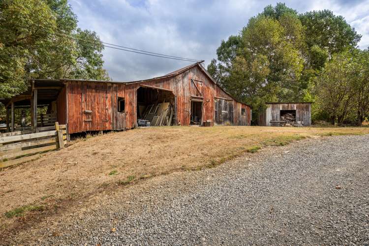 254 Kohatu-Kawatiri Highway Kahurangi National Park_18