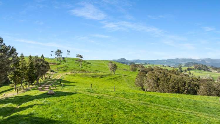 90 Camp Road, Coroglen Tairua_30