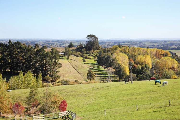 57 Otto Road Ramarama_22