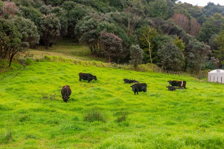 429 Omanaia Road Oue_17