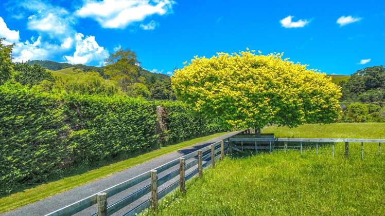 155 Maramarahi Road Thames_35