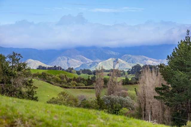 48 Norsewood Ormondville Road Norsewood_3