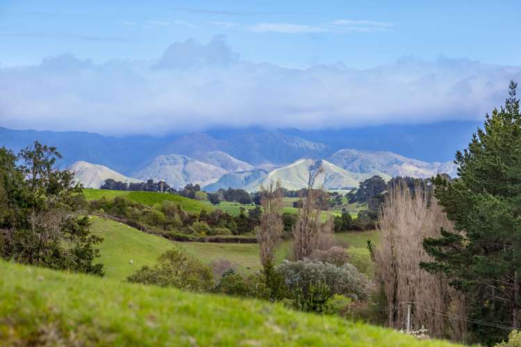 48 Norsewood Ormondville Road Norsewood_3