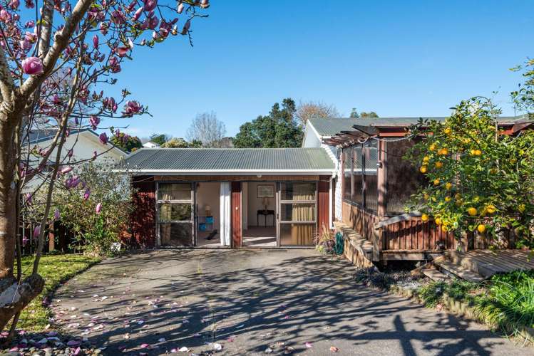 55 Blakeborough Drive Forrest Hill_20