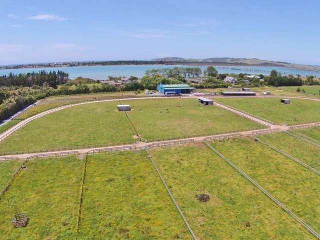 294 Point Wells Road Point Wells_3