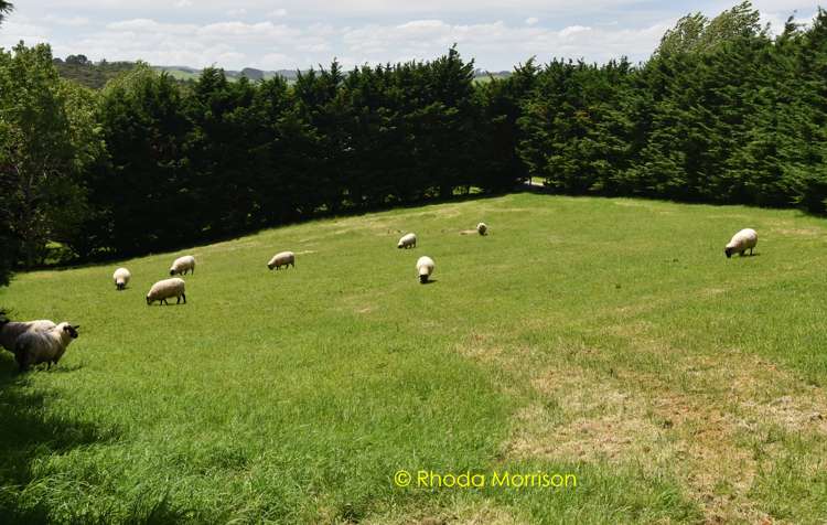 245 Metcalfe Road Matakohe_29