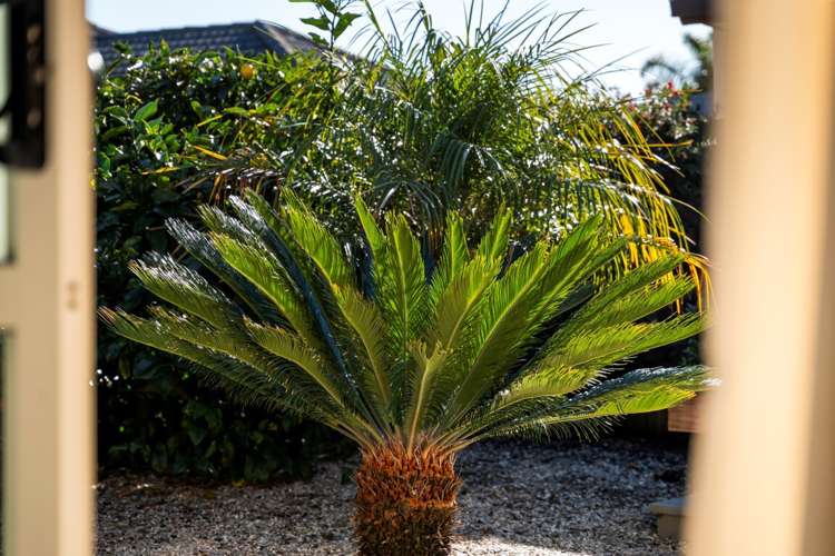 134 Twin Oak Avenue Papamoa_14