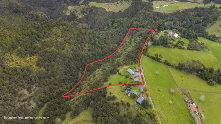 100f Axtens Road Mangatawhiri_31