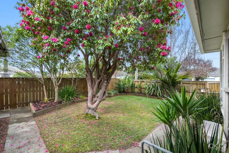 38 McLeod Street Elderslea_15