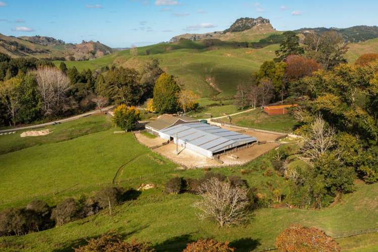 231 Leitch Road Piopio_19