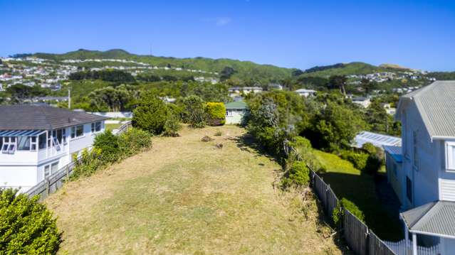 78 Fraser Avenue Johnsonville_1