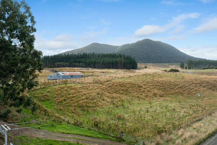 Tahakopa Valley Road Catlins Surrounds_7