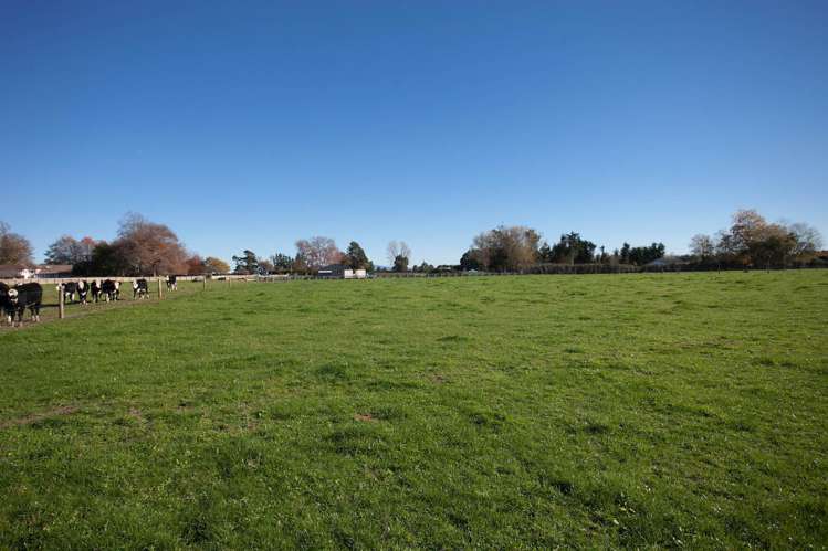 312b Marychurch Road Matangi_11