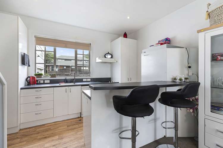 33 Little George Street Thorndon_5