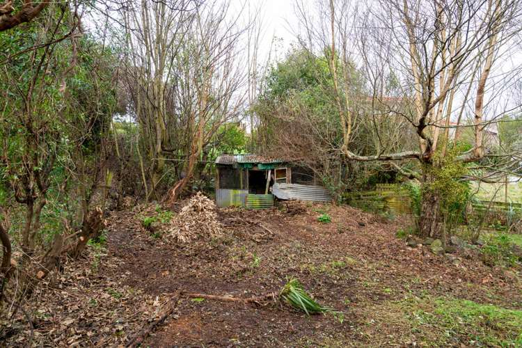 9 Matai Street Kaka Point_11