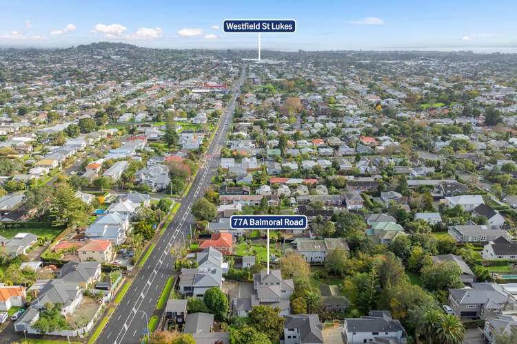 77a Balmoral Road Mount Eden_6