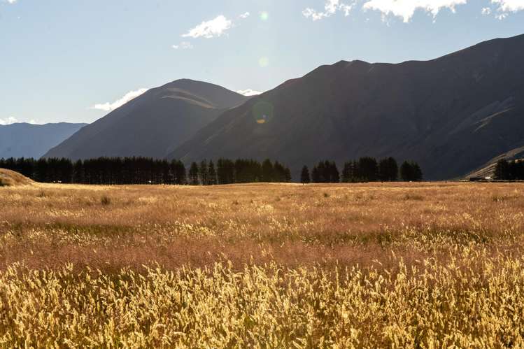 130 Manuka Terrace Twizel_8