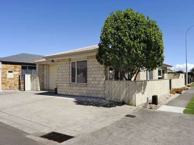 67 Green Street Tahunanui_2