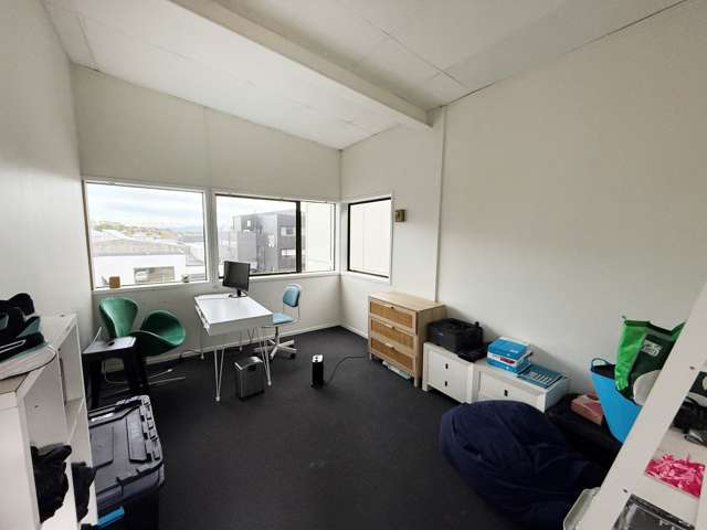 23B Pollen Street Grey Lynn_3