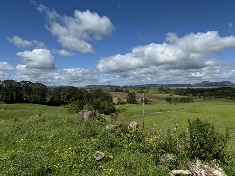 Hetherington Road and Waikokowai Roads Huntly_5