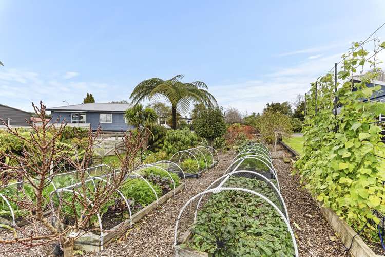 36 Maire Street Inglewood_28