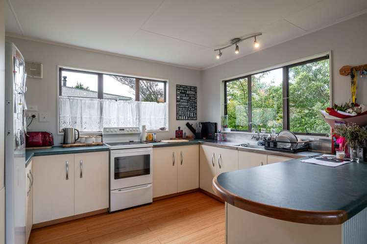 38 Tararua Street_1