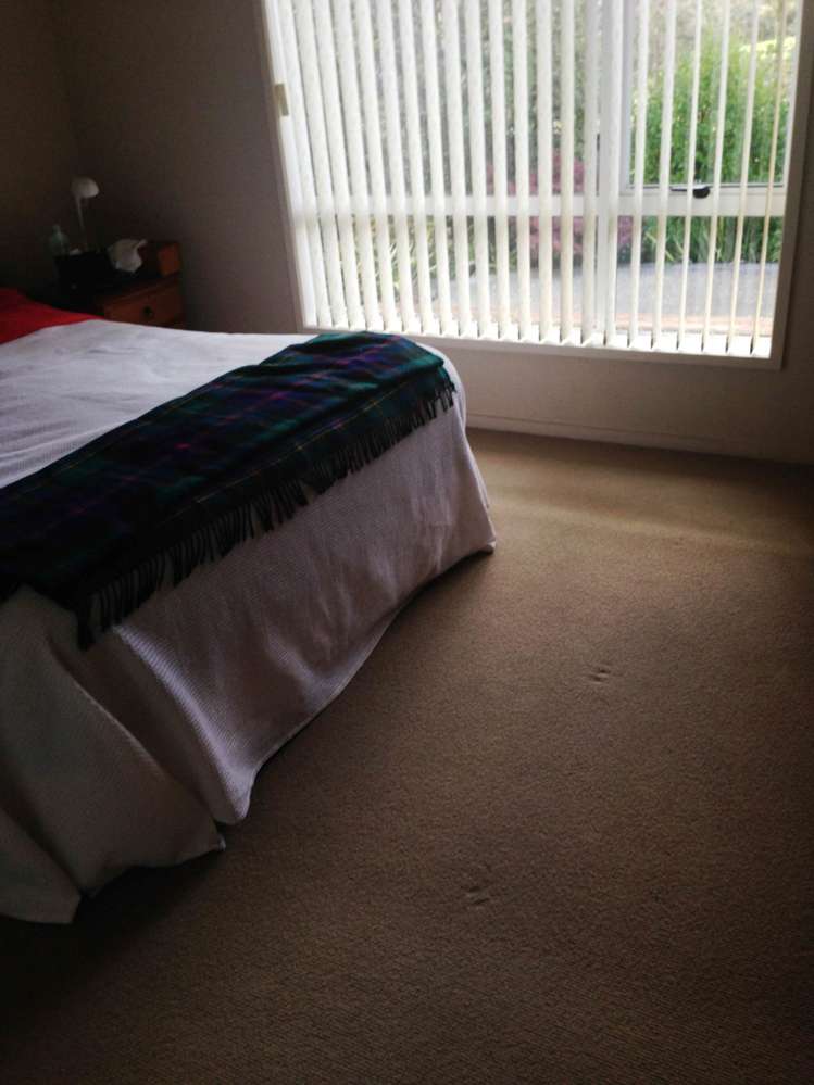 78 Roberta Crescent Orewa_3