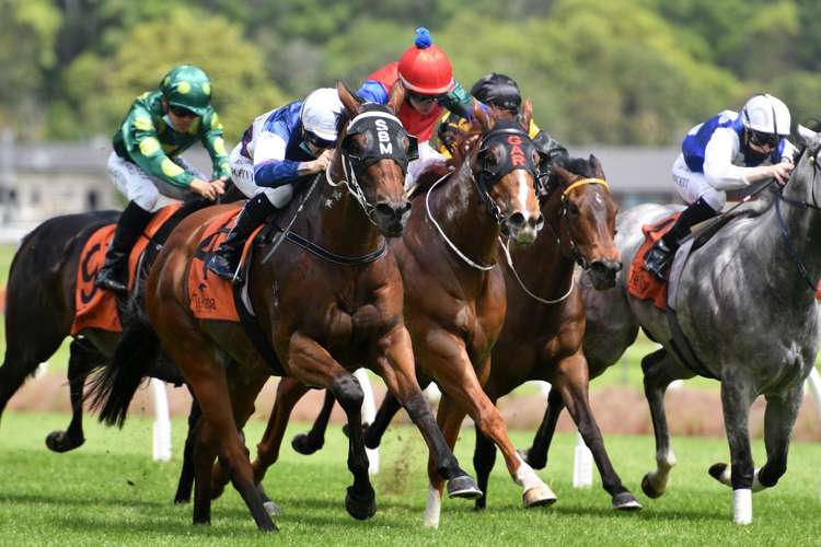 Generational opportunity for thoroughbred racing in the Waikato
