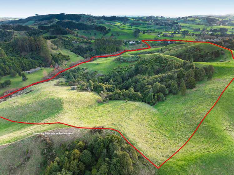 173 Dunn Road Ararimu_26