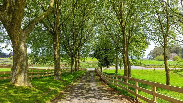 389 Lichfield Road Lichfield_25