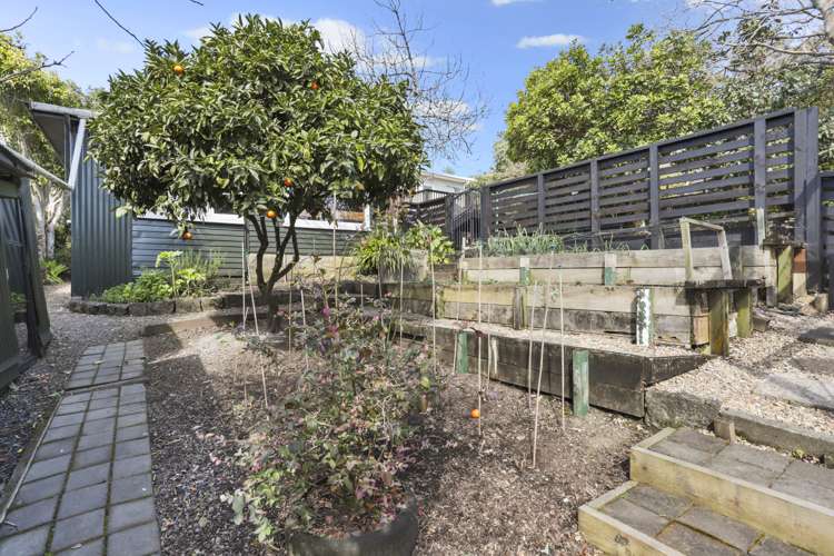 12 Rauhuia Crescent Parau_23